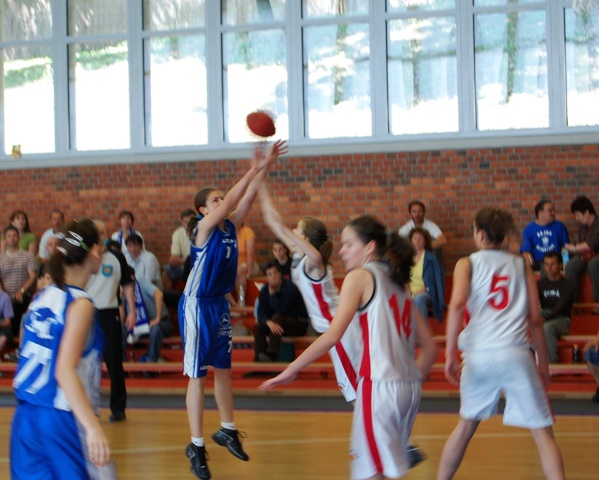 d2 fanni.jpg d2 fanni.jpg